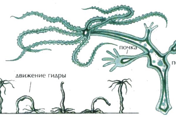 Кракен актуальные ссылки на сегодня