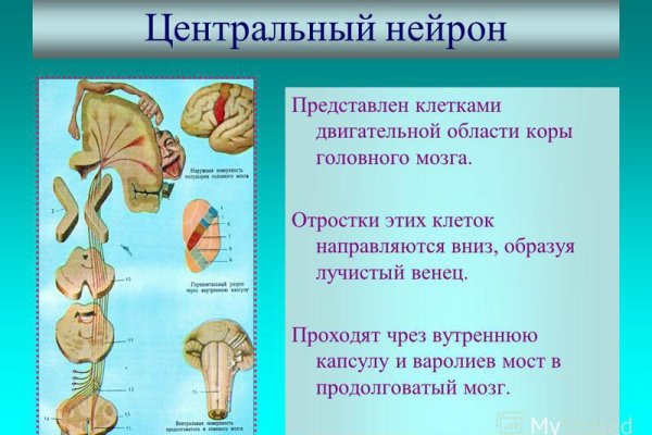 Как вернуть аккаунт кракен