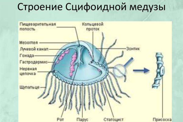 Кракен это современный маркетплейс